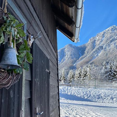 Chalet Am Weissenbach 茵特斯托德 外观 照片