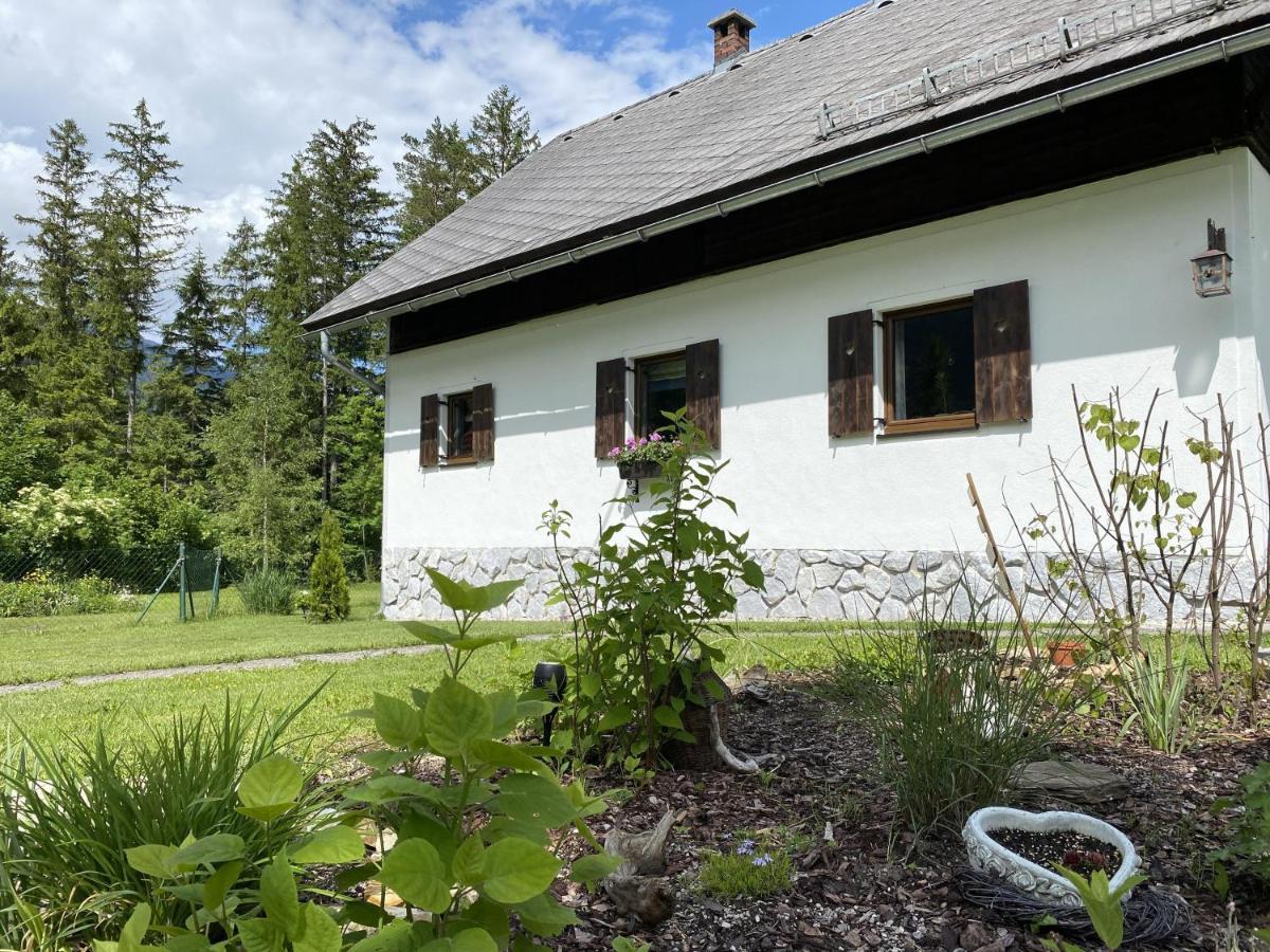 Chalet Am Weissenbach 茵特斯托德 外观 照片