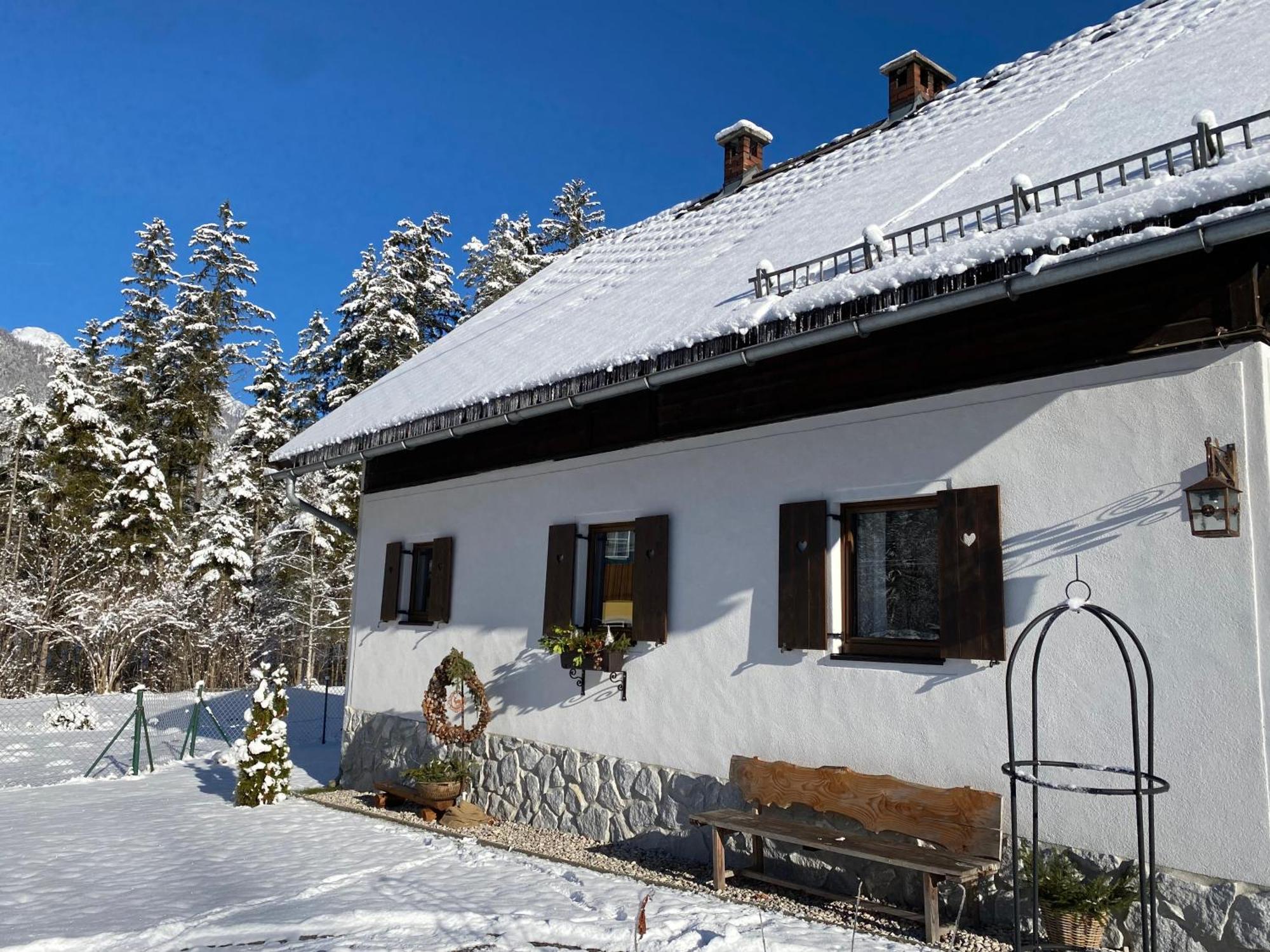 Chalet Am Weissenbach 茵特斯托德 外观 照片